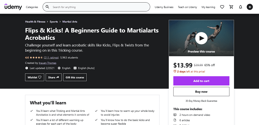 martial arts online course