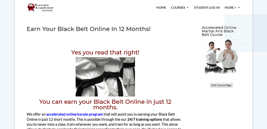 online martial arts lessons