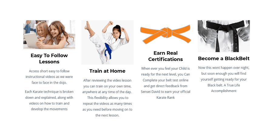 free martial arts training online