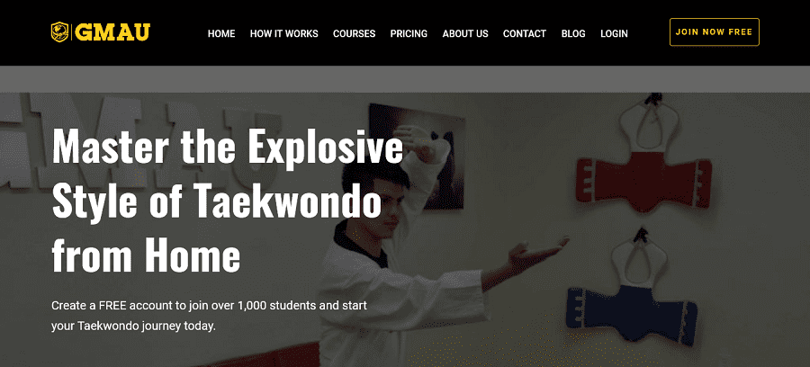 online martial arts classes for adults